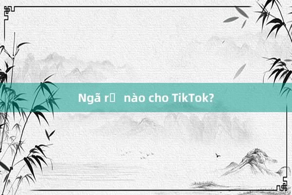 Ngã rẽ nào cho TikTok?