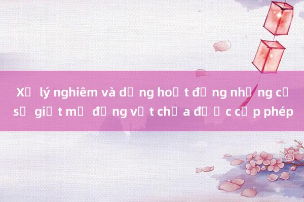 Xử lý nghiêm và dừng hoạt động những cơ sở giết mổ động vật chưa được cấp phép