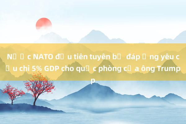 Nước NATO đầu tiên tuyên bố đáp ứng yêu cầu chi 5% GDP cho quốc phòng của ông Trump