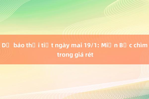 Dự báo thời tiết ngày mai 19/1: Miền Bắc chìm trong giá rét