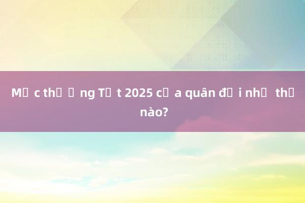 Mức thưởng Tết 2025 của quân đội như thế nào?