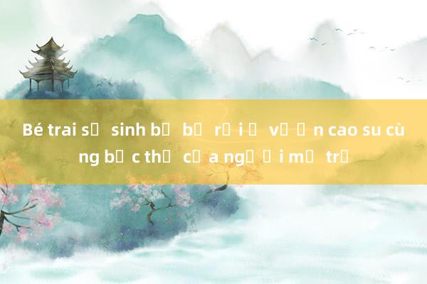 Bé trai sơ sinh bị bỏ rơi ở vườn cao su cùng bức thư của người mẹ trẻ