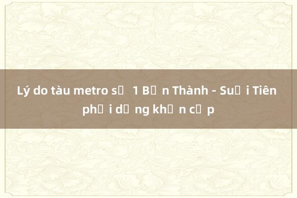 Lý do tàu metro số 1 Bến Thành - Suối Tiên phải dừng khẩn cấp