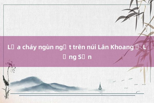 Lửa cháy ngùn ngụt trên núi Lân Khoang ở Lạng Sơn