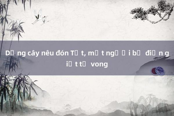 Dựng cây nêu đón Tết， một người bị điện giật tử vong