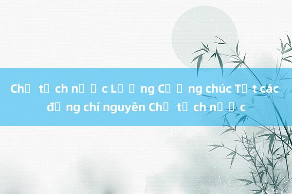 Chủ tịch nước Lương Cường chúc Tết các đồng chí nguyên Chủ tịch nước