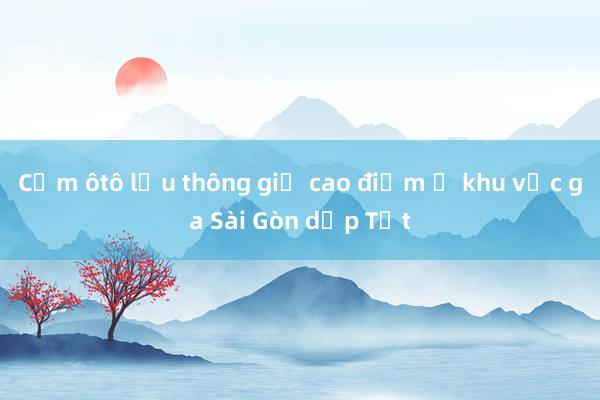 Cấm ôtô lưu thông giờ cao điểm ở khu vực ga Sài Gòn dịp Tết