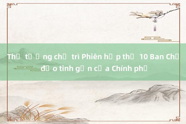 Thủ tướng chủ trì Phiên họp thứ 10 Ban Chỉ đạo tinh gọn của Chính phủ