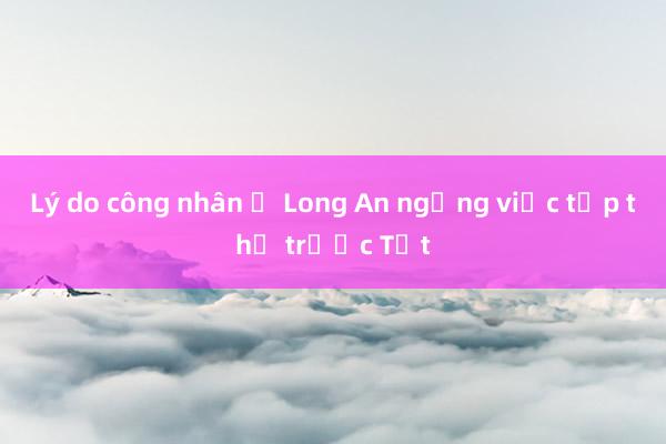 Lý do công nhân ở Long An ngừng việc tập thể trước Tết