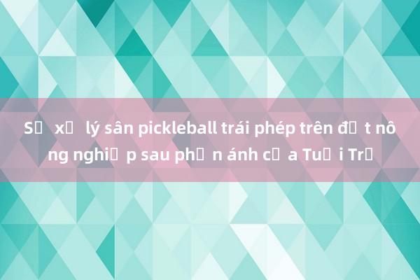 Sẽ xử lý sân pickleball trái phép trên đất nông nghiệp sau phản ánh của Tuổi Trẻ