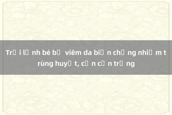 Trời lạnh bé bị viêm da biến chứng nhiễm trùng huyết， cần cẩn trọng