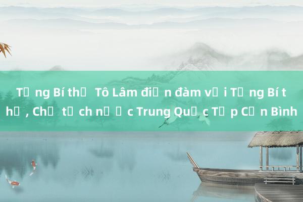 Tổng Bí thư Tô Lâm điện đàm với Tổng Bí thư， Chủ tịch nước Trung Quốc Tập Cận Bình