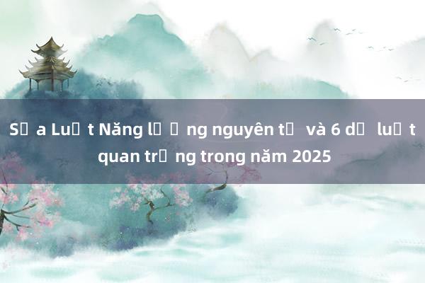 Sửa Luật Năng lượng nguyên tử và 6 dự luật quan trọng trong năm 2025