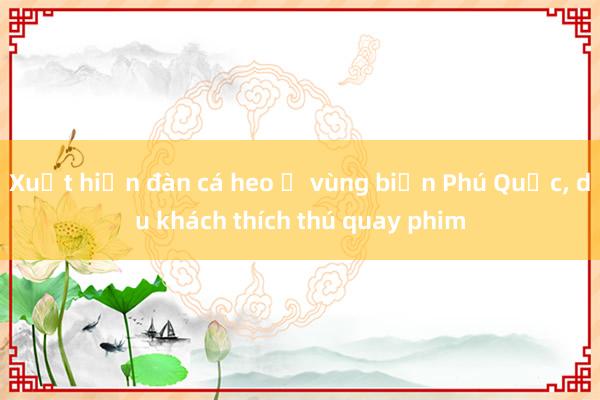 Xuất hiện đàn cá heo ở vùng biển Phú Quốc， du khách thích thú quay phim