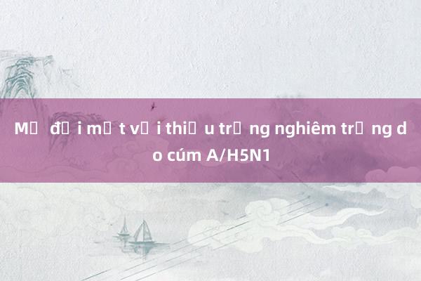 Mỹ đối mặt với thiếu trứng nghiêm trọng do cúm A/H5N1