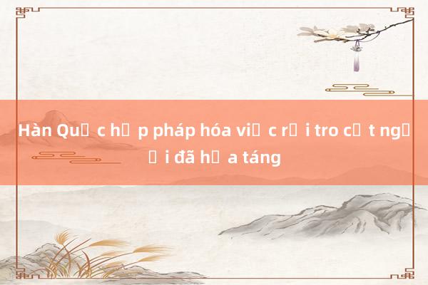 Hàn Quốc hợp pháp hóa việc rải tro cốt người đã hỏa táng