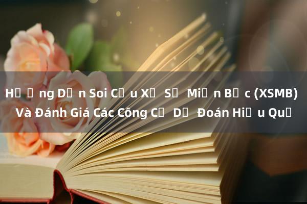 Hướng Dẫn Soi Cầu Xổ Số Miền Bắc (XSMB) Và Đánh Giá Các Công Cụ Dự Đoán Hiệu Quả