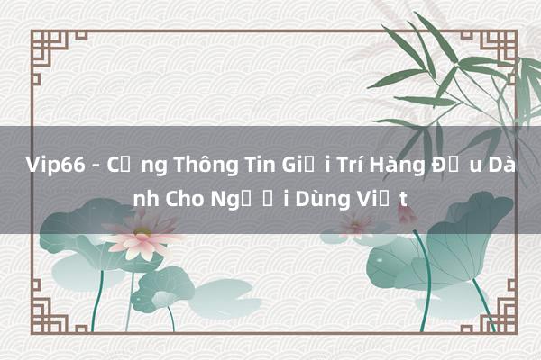 Vip66 - Cổng Thông Tin Giải Trí Hàng Đầu Dành Cho Người Dùng Việt