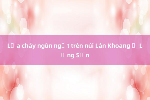 Lửa cháy ngùn ngụt trên núi Lân Khoang ở Lạng Sơn