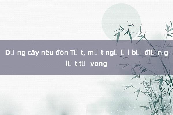 Dựng cây nêu đón Tết， một người bị điện giật tử vong