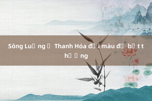 Sông Luồng ở Thanh Hóa đổi màu đỏ bất thường