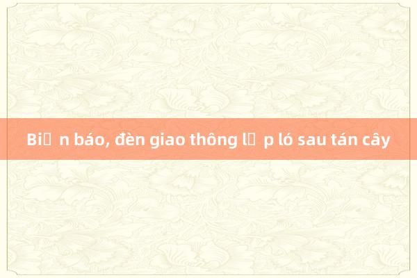 Biển báo, đèn giao thông lấp ló sau tán cây