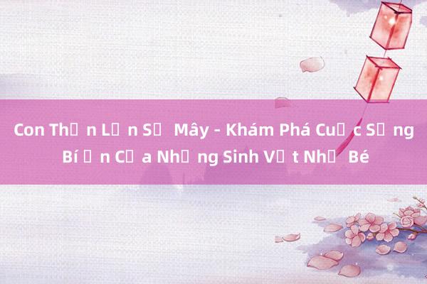 Con Thằn Lằn Sợ Mây - Khám Phá Cuộc Sống Bí Ẩn Của Những Sinh Vật Nhỏ Bé