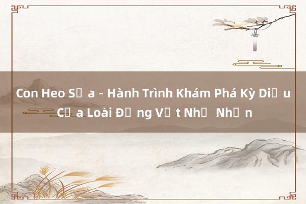 Con Heo Sữa - Hành Trình Khám Phá Kỳ Diệu Của Loài Động Vật Nhỏ Nhắn