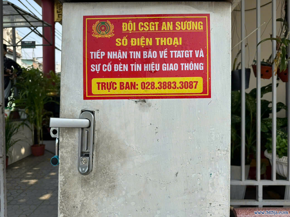 Den giao thong TP.HCM anh 4