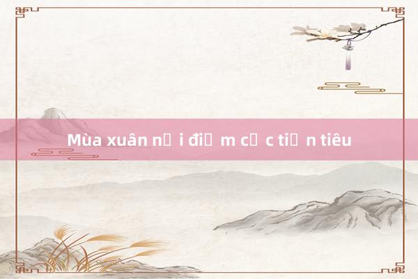 Mùa xuân nơi điểm cực tiền tiêu